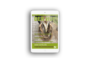 DE_MockUp-Subscription-digital-Web