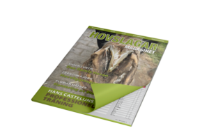 SE_MockUp-Subscription-Print-Web