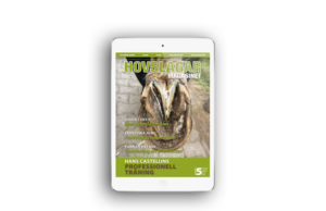SE_MockUp-Subscription-digital-Web