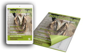 SE_MockUp-Subscription-digital-print-Web
